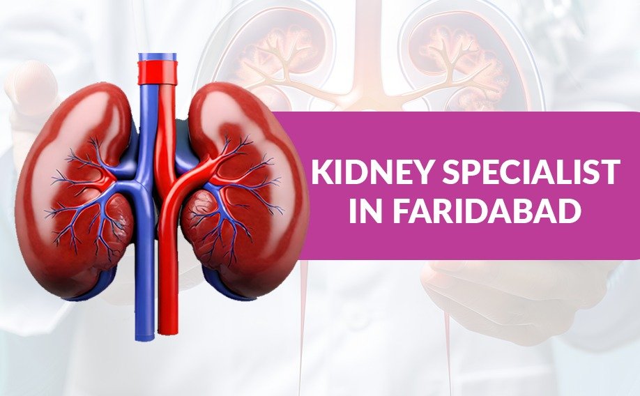 Kidney Specialist in Faridabad