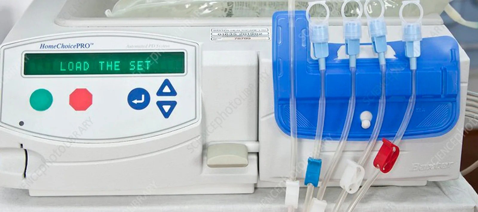 Medical illustration of kidneys